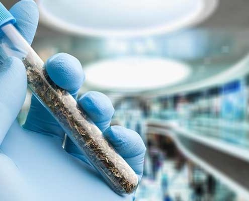 How to Quickly Clean Glass Components Used in Cannabis Processing